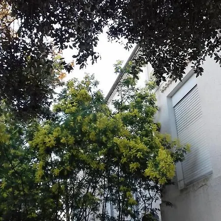 Bel Appartement-terrasse Ronce-les-bains Apartamento